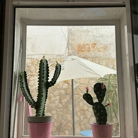 Daire Luca's - University-centre-metro